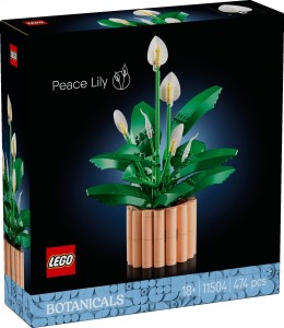 LEGO Klocki Botanicals 11504 Skrzydłokwiat
