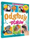 Odglosy ptaków