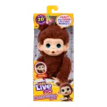 11.webp